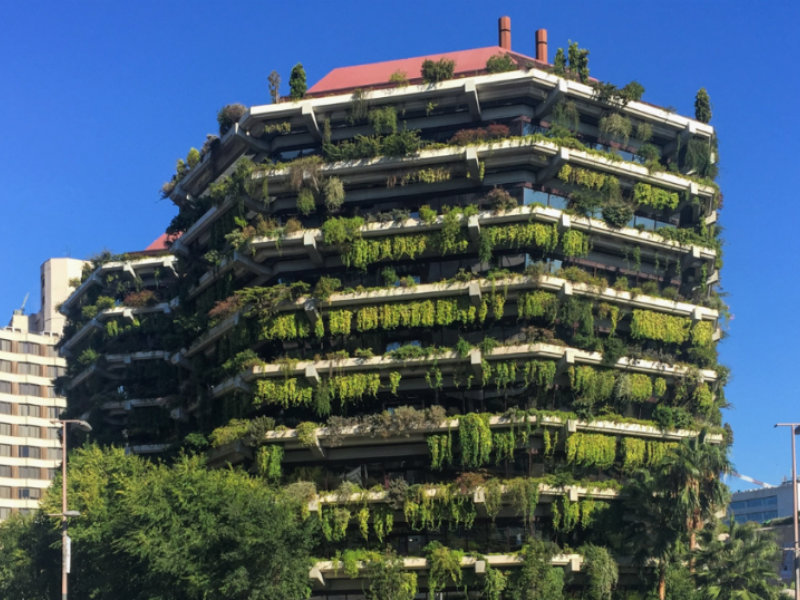 Dia do Meio Ambiente: entenda como surgiu e qual a importância da data